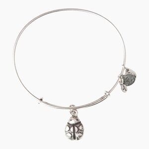 Alex and Ani Ladybug Charm Bracelet